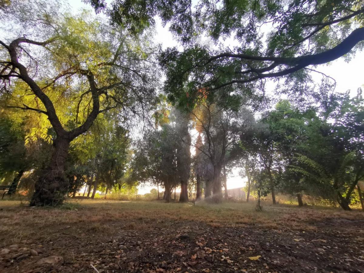 Finca El Naranjo Севиля Екстериор снимка